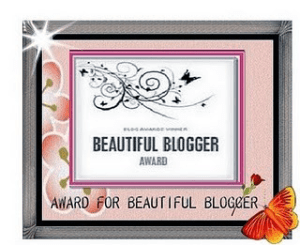 beautifulbloggerawardnancy