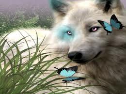 Wolf and Butterfly