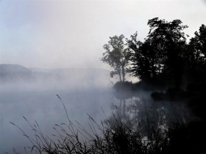Misty Morning