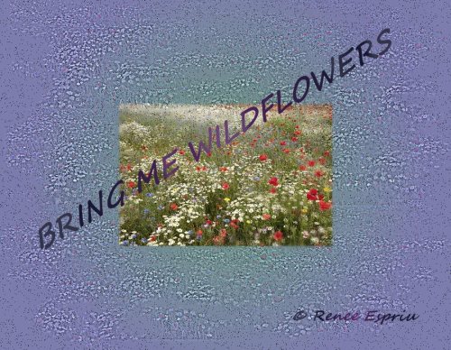 Bring Me Wildflowers