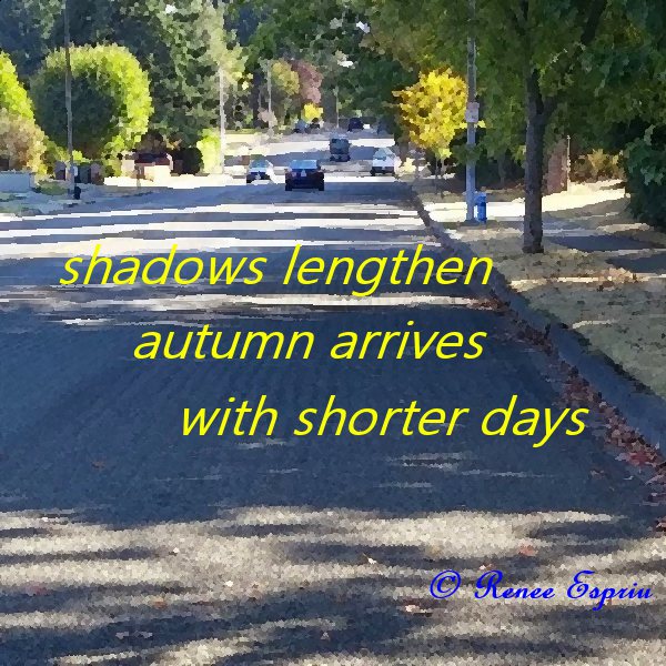 Shadows of Autumn
